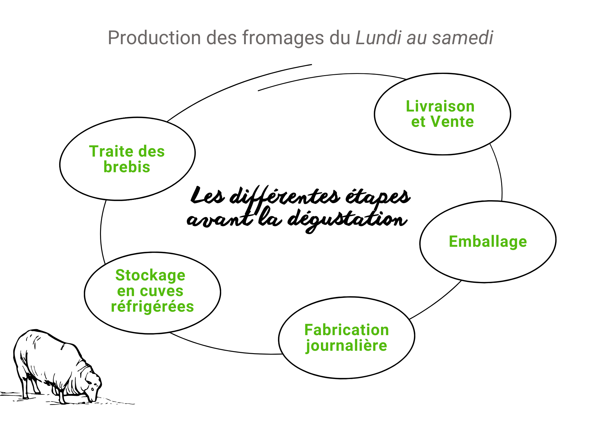 Processusdeproduction-fromages-brebis-LaBergeriedesMollieres-