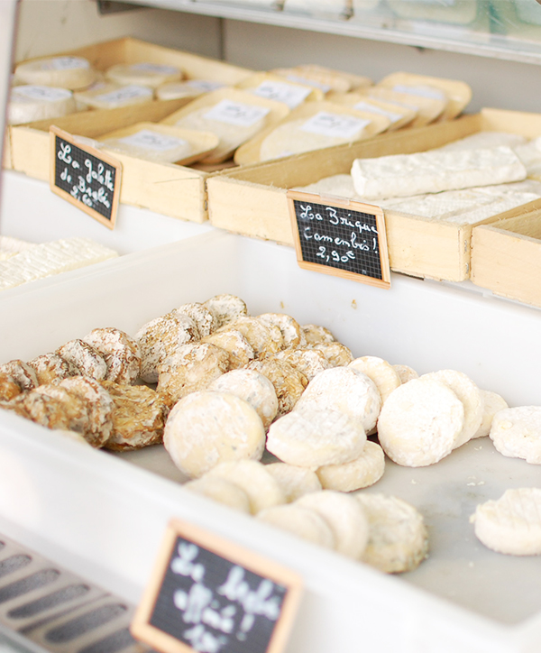 Producteur-fromages-brebis-LaBergeriedesMollieres-ounoustrouver-auvergnesrhonealpes